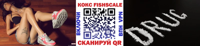Кокаин FishScale  где продают наркотики  Заозёрный 