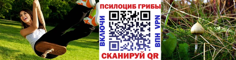 закладка  Заозёрный  Псилоцибиновые грибы прущие грибы 